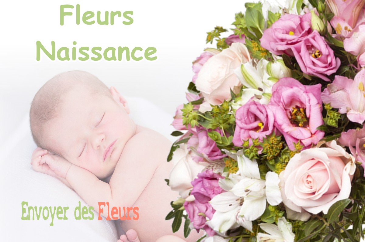 lIVRAISON FLEURS NAISSANCE à CONTRISSON